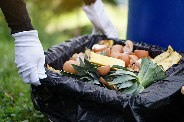 food waste management