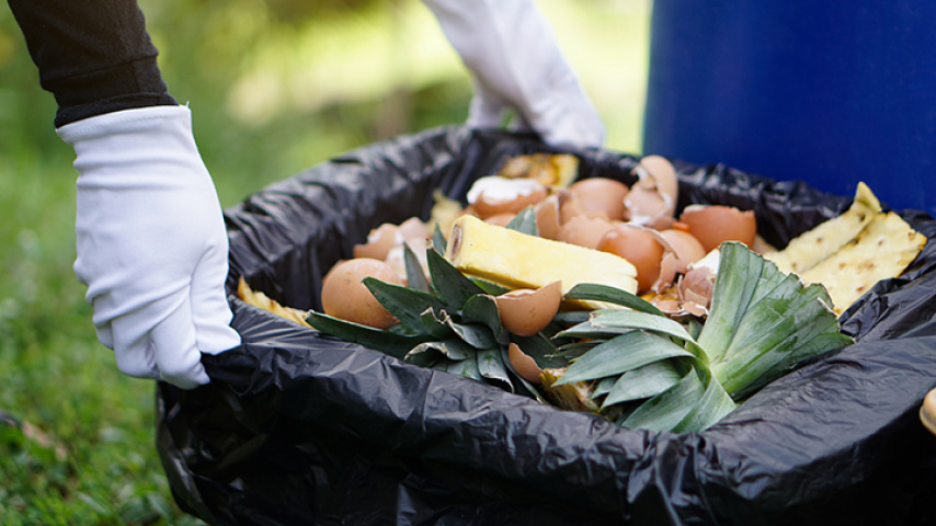 Promoting Circular Economy through Food Waste Management